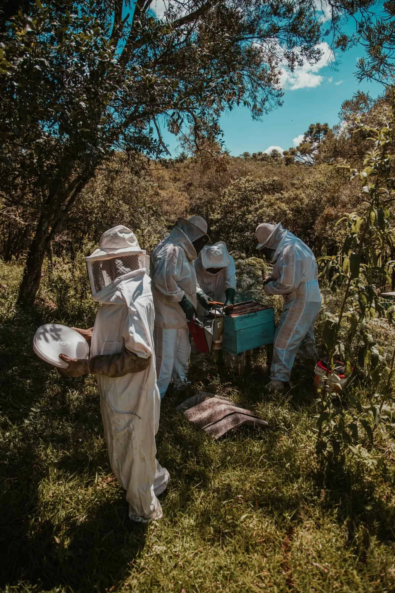 Beekeepers
