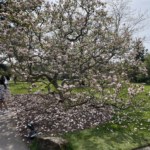 Kew Gardens - HoneyBee & co