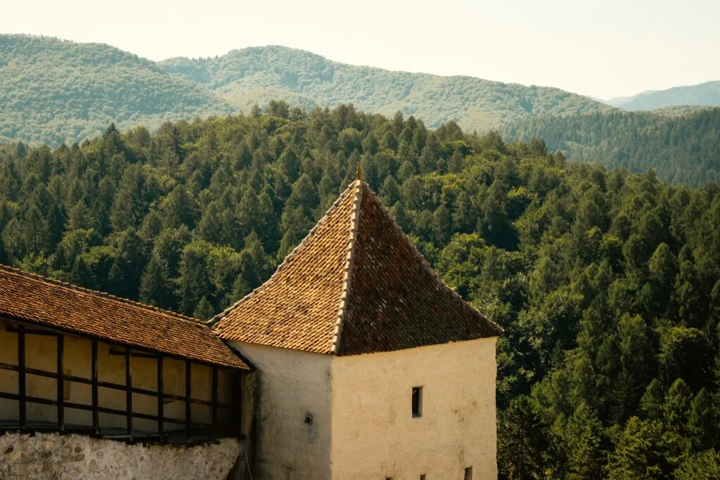 Historic stone tower of Bran Castle with a tiled roof overlooking a forest