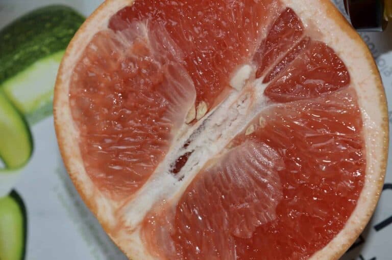 Organic Harvest: Nature for a Sustainable Future