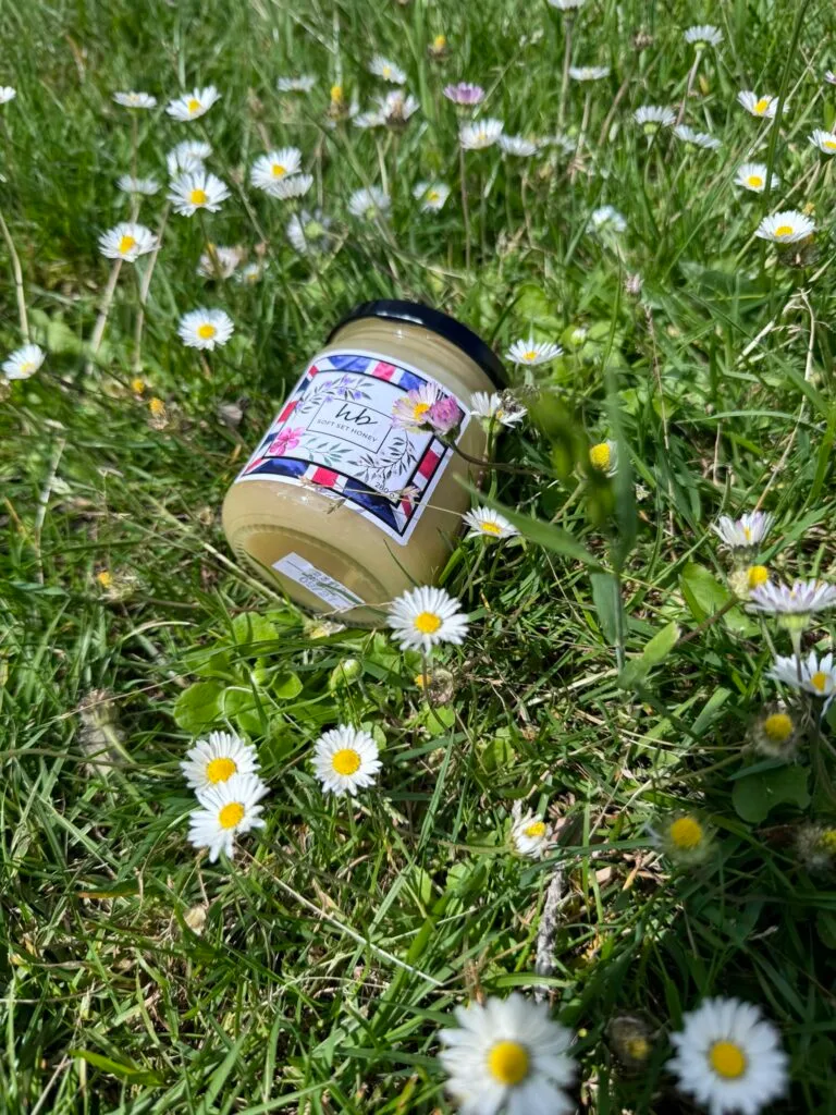 Honey's Role in 2025 The Sweetest Harvest 2 Soft Set Honey -HoneyBee & Co.