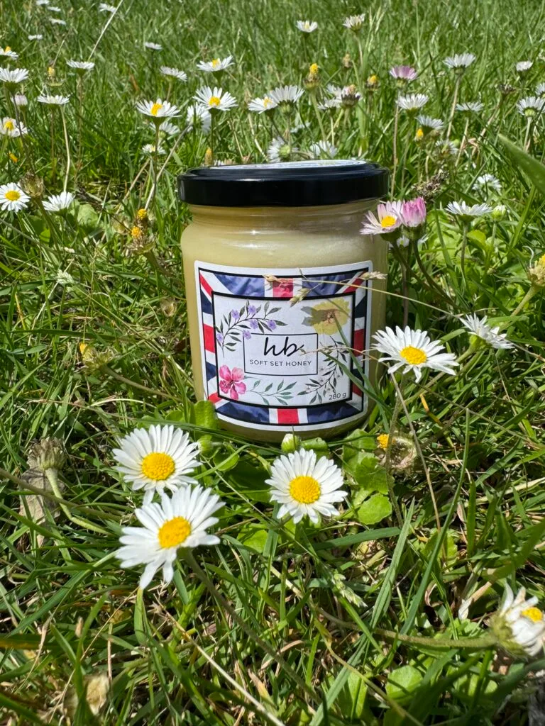 Discover the Potential Honey Side Effects 2 Soft Set Honey Jar on a Field