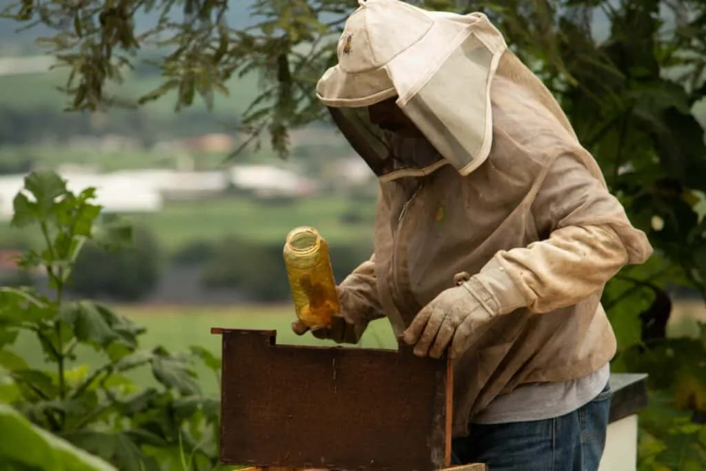 WhatsApp Image 2022 10 29 at 1.09.29 PM 1024x683 1