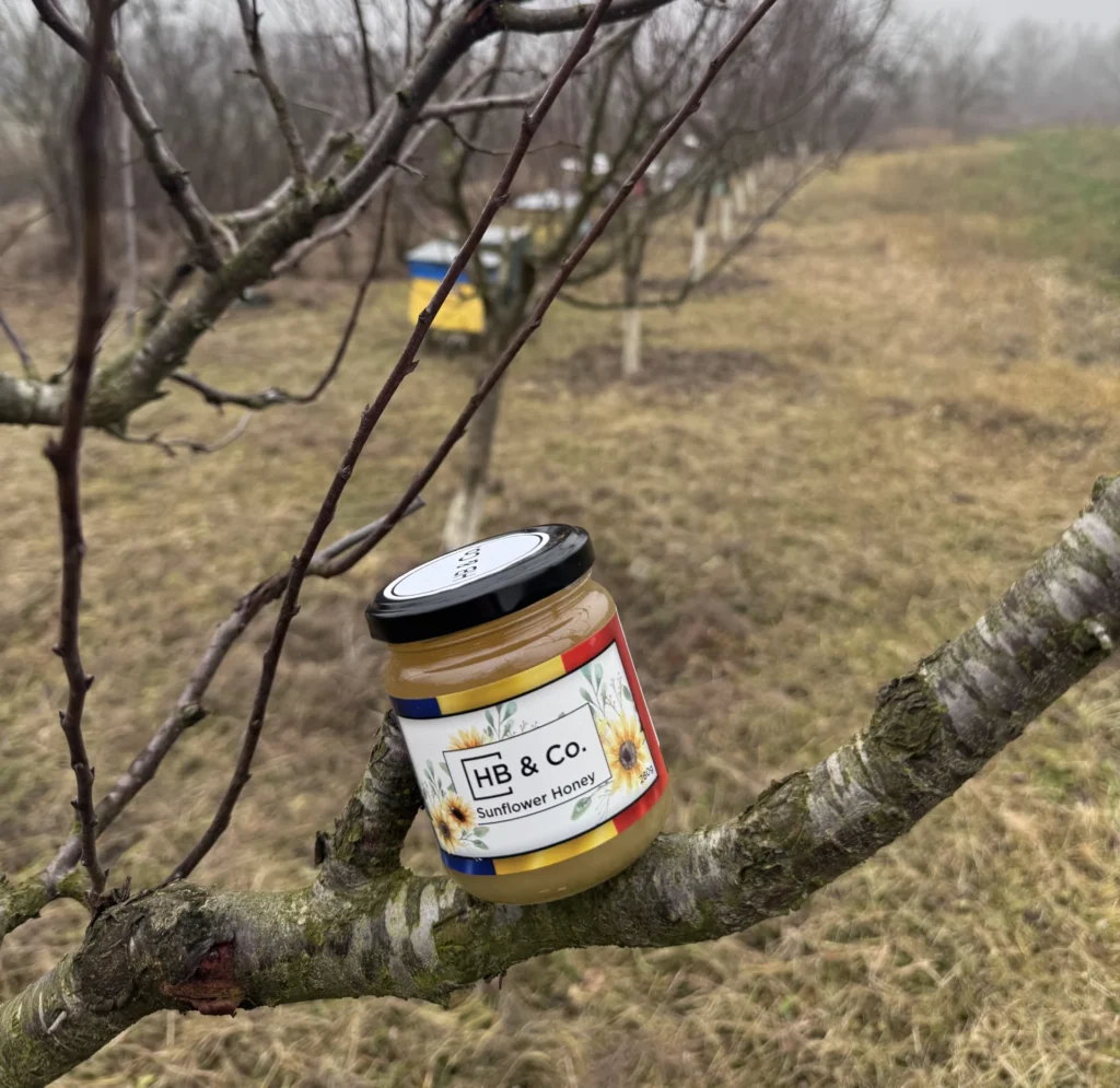 HoneyBee & Co. Sunflower Honey jar resting on a tree branch in an orchard, with beehives visible in the background on a cloudy day.