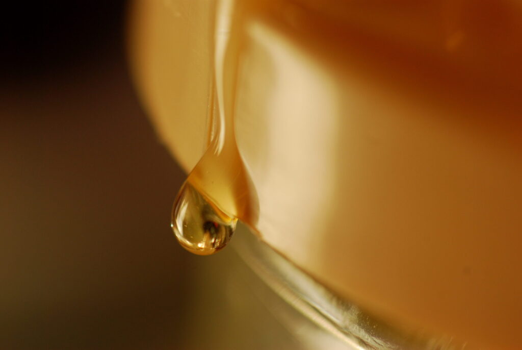 Drop of honey 2231021824